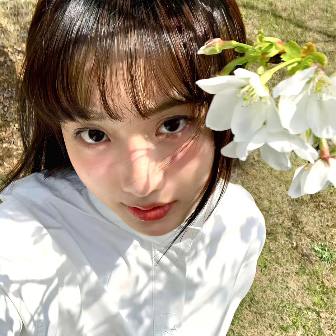 除匪 在线观看